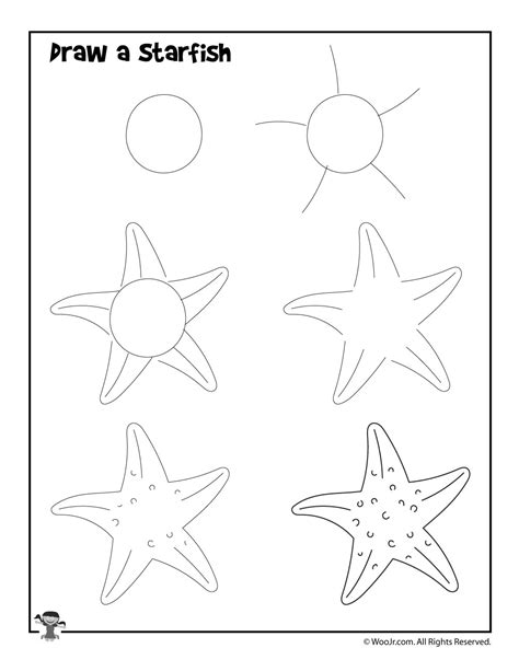 How to draw a starfish step by step .